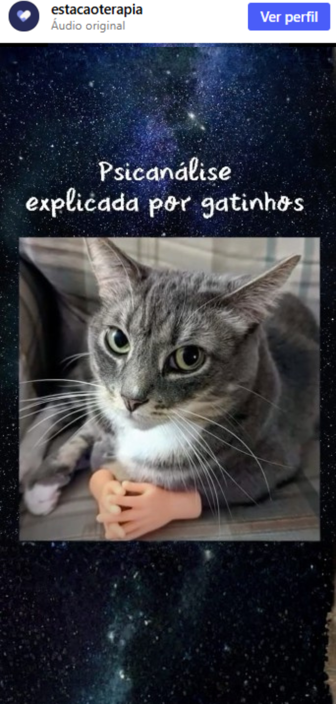 Capa do reel Psicanálise explicada por gatinhos, com um gato cinza de patinhas cruzadas sobre fundo de galáxia